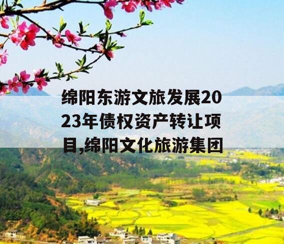 绵阳东游文旅发展2023年债权资产转让项目,绵阳文化旅游集团