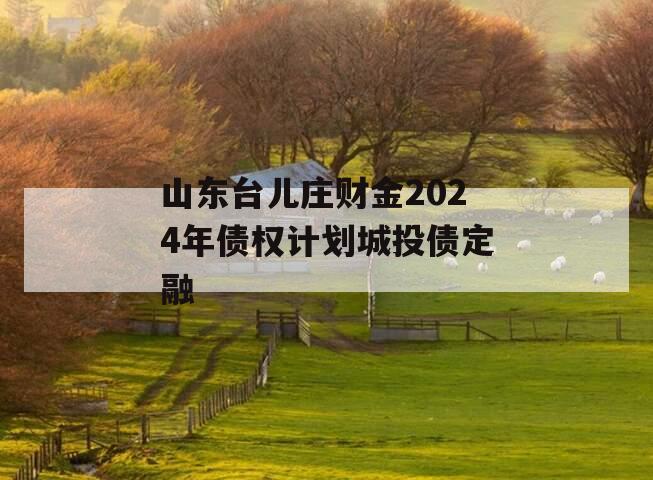 山东台儿庄财金2024年债权计划城投债定融