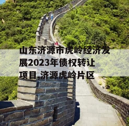 山东济源市虎岭经济发展2023年债权转让项目,济源虎岭片区
