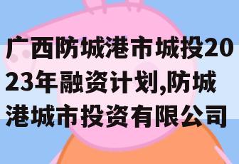 广西防城港市城投2023年融资计划,防城港城市投资有限公司