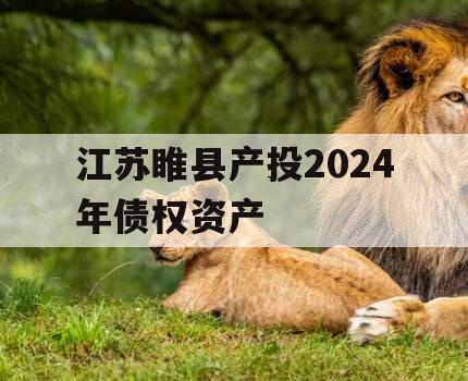 江苏睢县产投2024年债权资产