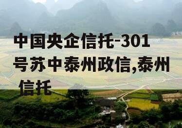 中国央企信托-301号苏中泰州政信,泰州 信托
