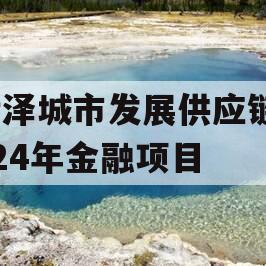 菏泽城市发展供应链2024年金融项目