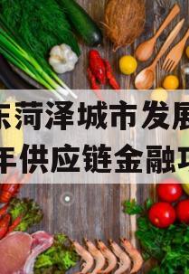 山东菏泽城市发展2023年供应链金融项目