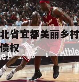 湖北省宜都美丽乡村建设债权 湖北省宜都美丽乡村建设债权