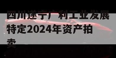 四川遂宁广利工业发展特定2024年资产拍卖