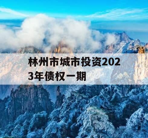 林州市城市投资2023年债权一期