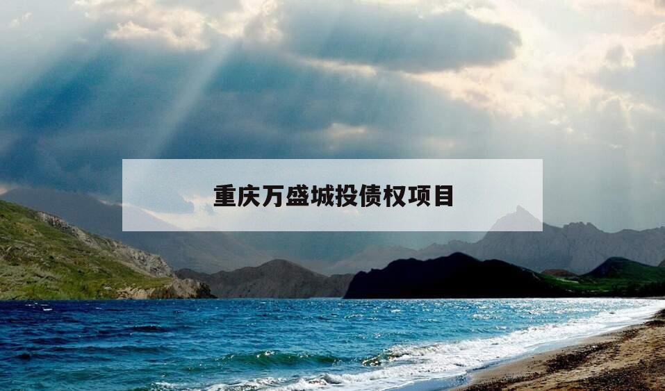 重庆万盛城投债权项目