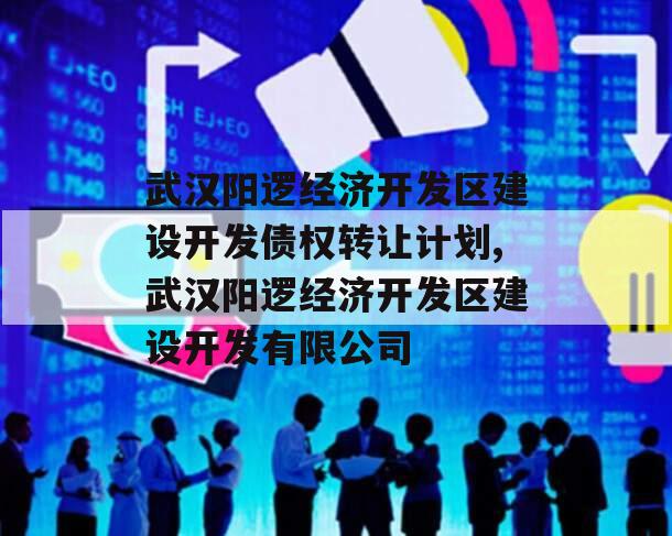 武汉阳逻经济开发区建设开发债权转让计划,武汉阳逻经济开发区建设开发有限公司