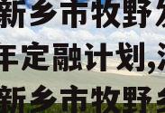 河南新乡市牧野发展2023年定融计划,河南省新乡市牧野乡
