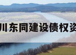 四川东同建设债权资产