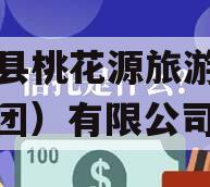 酉阳县桃花源旅游投资（集团）有限公司