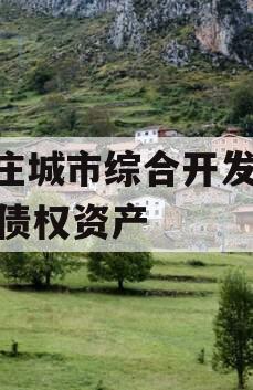 枣庄城市综合开发2023债权资产 枣庄城市综合开发2023债权资产