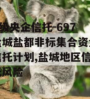 A级央企信托-697盐城盐都非标集合资金信托计划,盐城地区信托风险