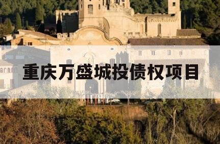 重庆万盛城投债权项目