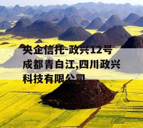 央企信托-政兴12号成都青白江,四川政兴科技有限公司
