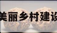 宜都美丽乡村建设债权