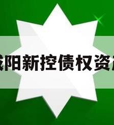 咸阳新控债权资产