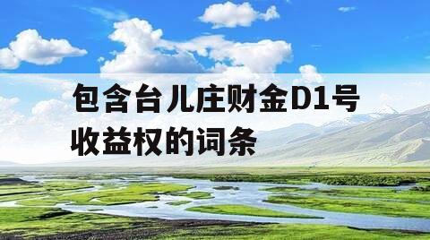 包含台儿庄财金D1号收益权的词条