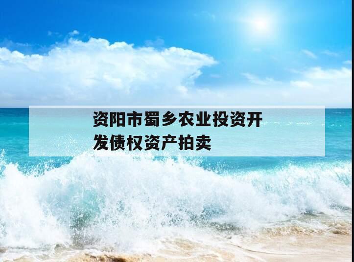 资阳市蜀乡农业投资开发债权资产拍卖