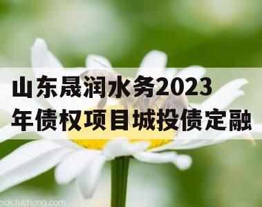山东晟润水务2023年债权项目城投债定融