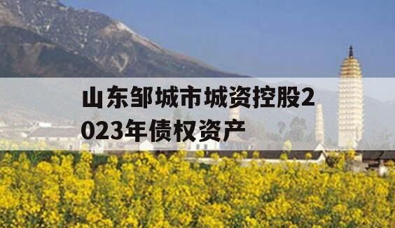 山东邹城市城资控股2023年债权资产