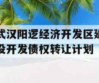 武汉阳逻经济开发区建设开发债权转让计划