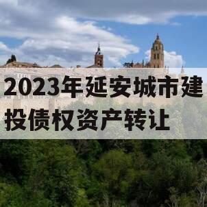 2023年延安城市建投债权资产转让