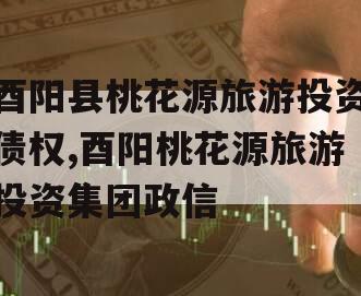 酉阳县桃花源旅游投资债权,酉阳桃花源旅游投资集团政信