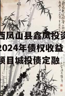 广西凤山县鑫凤投资发展2024年债权收益权项目城投债定融