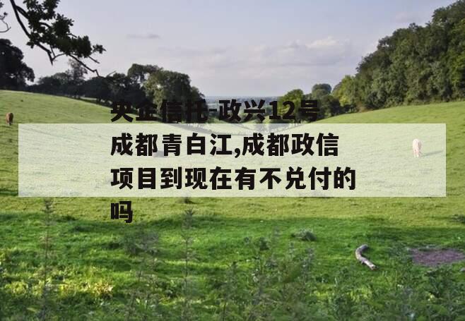 央企信托-政兴12号成都青白江,成都政信项目到现在有不兑付的吗