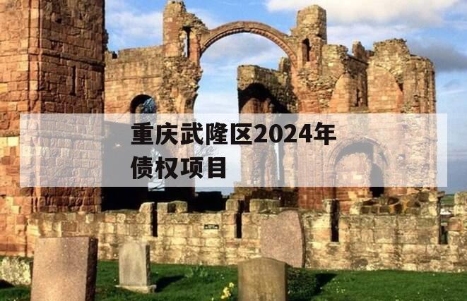 重庆武隆区2024年债权项目