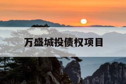 万盛城投债权项目