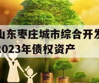 山东枣庄城市综合开发2023年债权资产