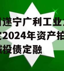 四川遂宁广利工业发展特定2024年资产拍卖城投债定融
