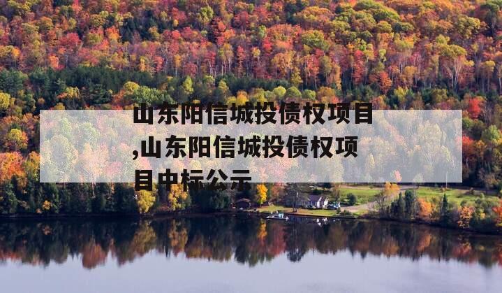 山东阳信城投债权项目,山东阳信城投债权项目中标公示