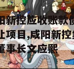 咸阳新控应收账款债权转让项目,咸阳新控集团董事长文应熙