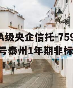 A级央企信托-759号泰州1年期非标