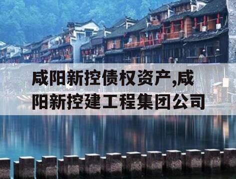咸阳新控债权资产,咸阳新控建工程集团公司