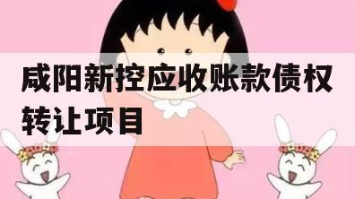 咸阳新控应收账款债权转让项目