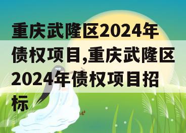 重庆武隆区2024年债权项目,重庆武隆区2024年债权项目招标