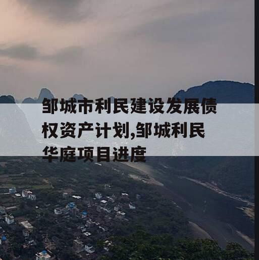 邹城市利民建设发展债权资产计划,邹城利民华庭项目进度