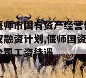 偃师市国有资产经营债权融资计划,偃师国资公司工资待遇