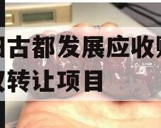 洛阳古都发展应收账款债权转让项目