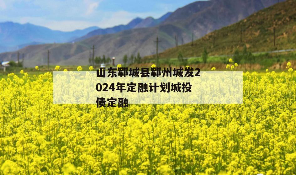 山东郓城县郓州城发2024年定融计划城投债定融
