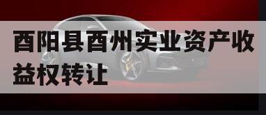 酉阳县酉州实业资产收益权转让