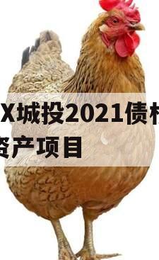 JX城投2021债权资产项目 JX城投2021债权资产项目