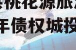酉阳县桃花源旅游投资2024年债权城投债定融