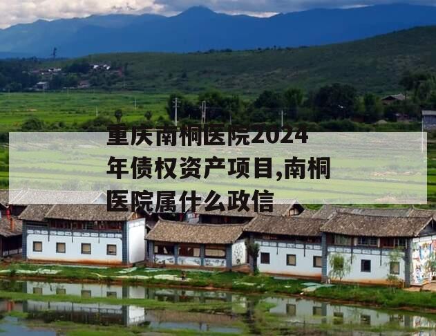重庆南桐医院2024年债权资产项目,南桐医院属什么政信