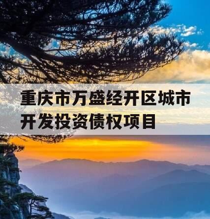重庆市万盛经开区城市开发投资债权项目